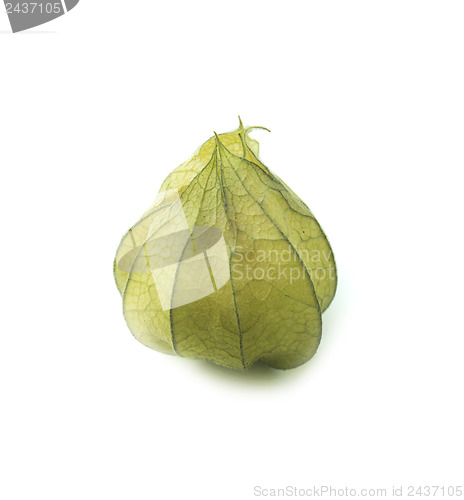 Image of Cape gooseberry