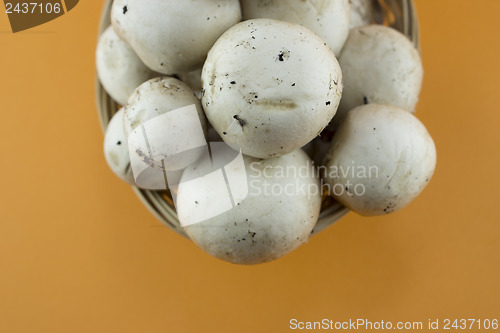 Image of button mushrooms 