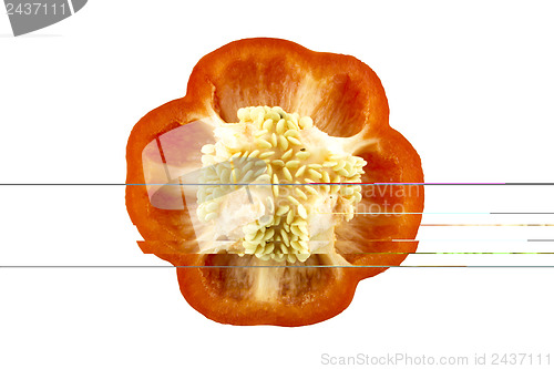 Image of Parts of colorful sweet bell pepper 