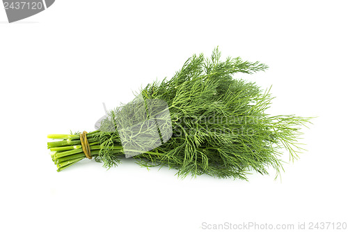 Image of a bunch of parsley