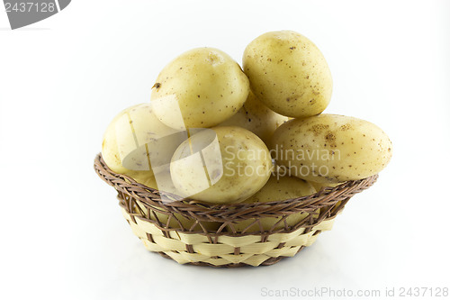 Image of --