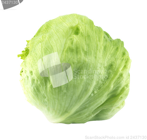 Image of Green Iceberg lettuce