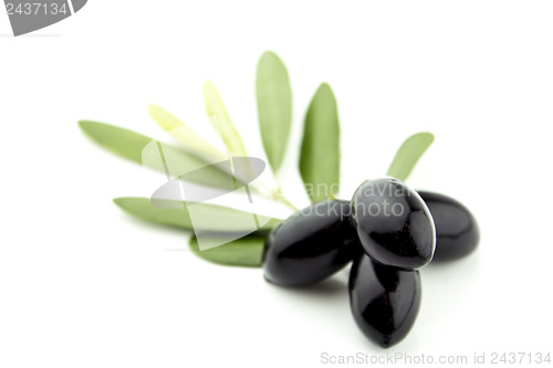 Image of Black Olives 