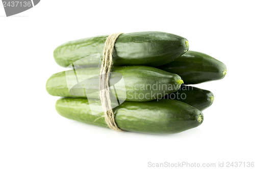 Image of Fresh Cucumber