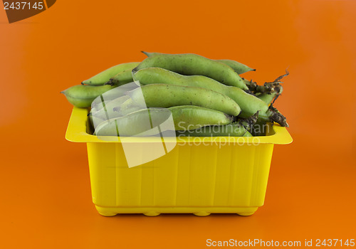 Image of broad bean pods