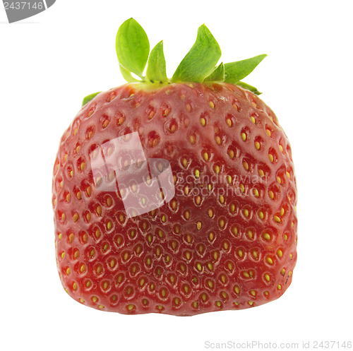 Image of Strawberry