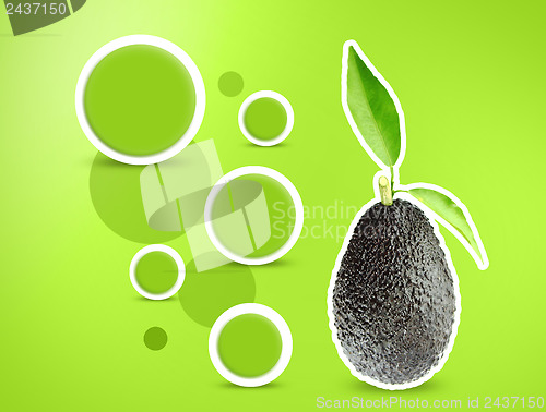 Image of Avocados