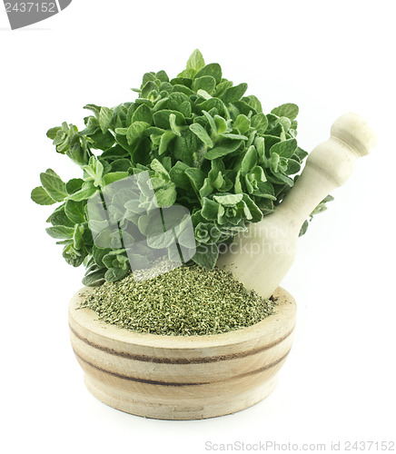 Image of Mortar with fresh thyme herb