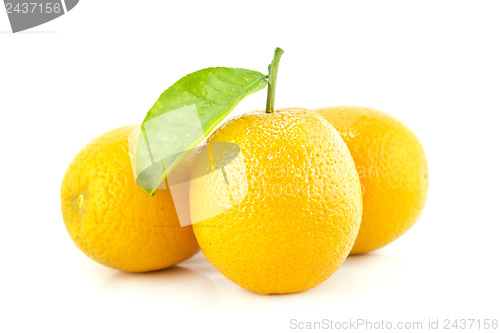 Image of Sweet Orange Fruit with leaves. 