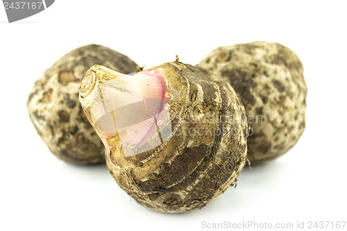 Image of fresh taro root 