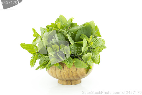 Image of fresh green mints
