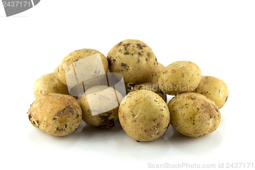 Image of potatoes 