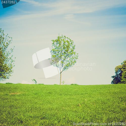 Image of Vintage look Primrose Hill, London