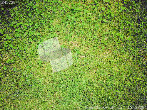Image of Grass background