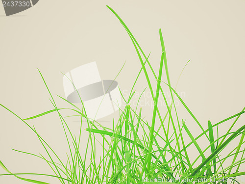 Image of Retro look Green grass meadow