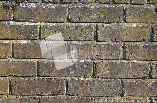 Image of Brick wall