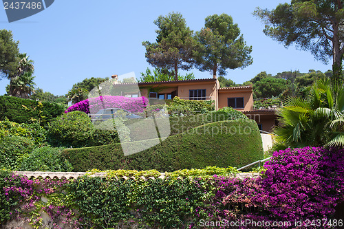 Image of View of the lovely garden