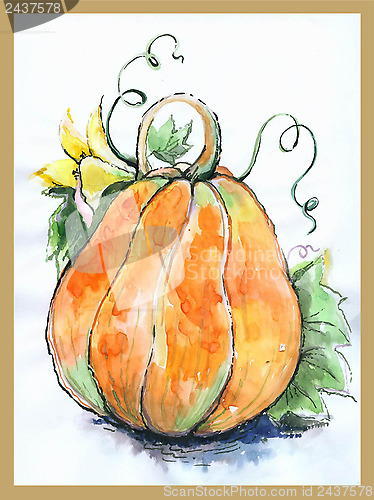 Image of Illustration pumpkin.  