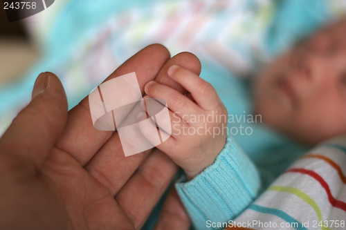 Image of baby hands with his mother