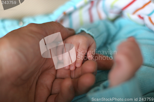 Image of baby hands with his mother