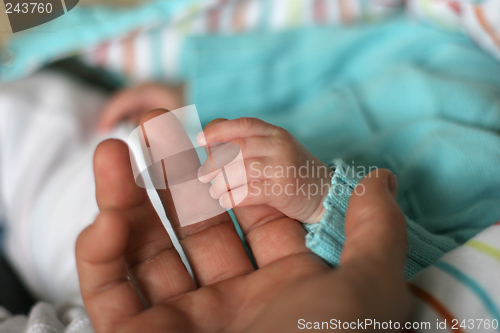 Image of baby hands with his mother