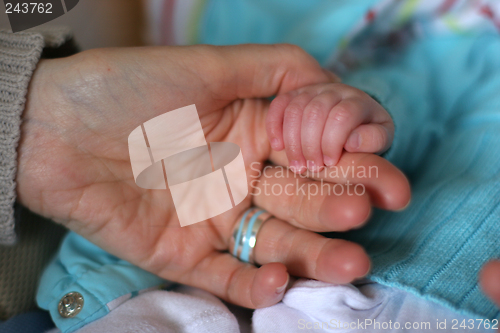 Image of baby hands with his mother