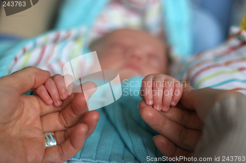 Image of baby hands with his mother