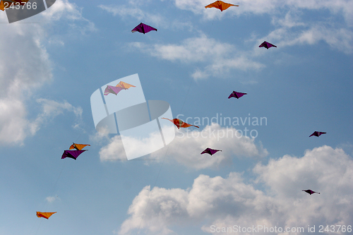 Image of kites in the sky