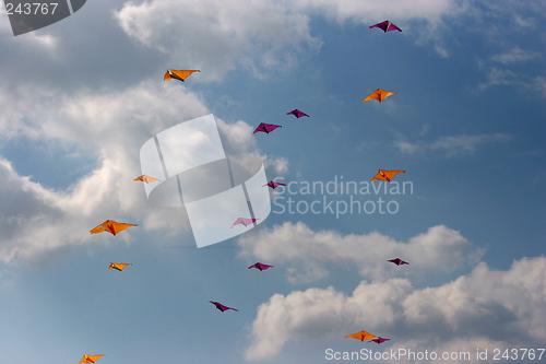 Image of kites in the sky