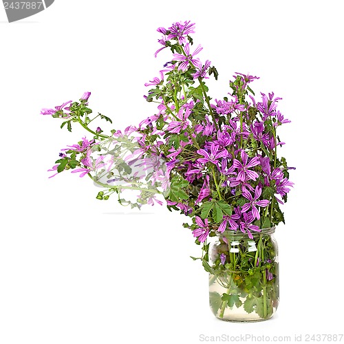 Image of wild violet flowers in glass jar 