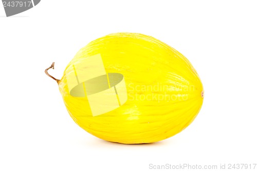 Image of fresh melon