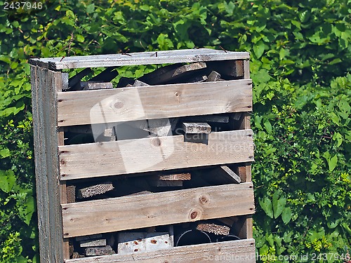 Image of Bug Hotel