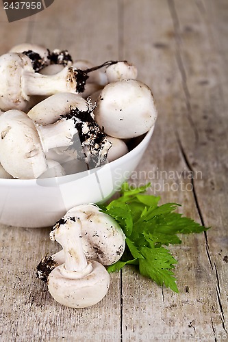 Image of champignons with parsley