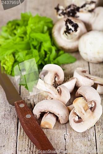 Image of champignons with parsley and old knife 