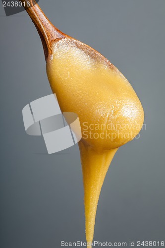 Image of Honey dripping