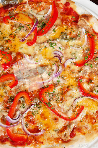 Image of meat pizza