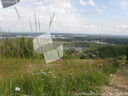 Image of Tahko ski resort in Finland in summer 