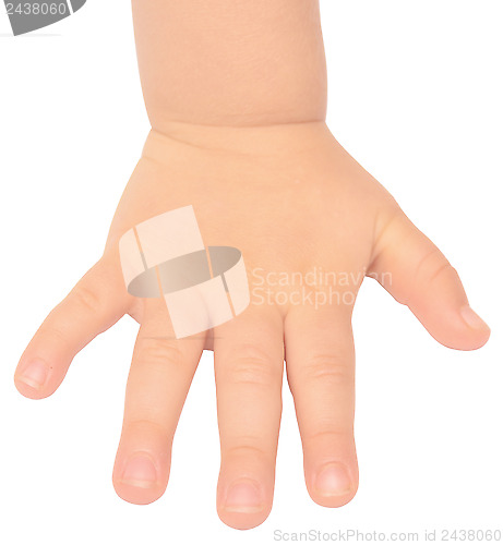 Image of baby hand