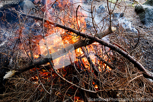 Image of outdoor firewood burning in fireplace