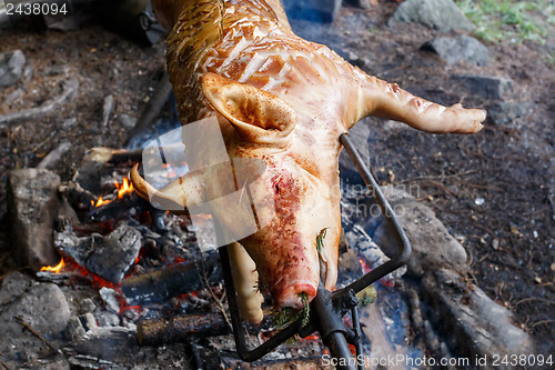 Image of Piglet on the grill in outdoor
