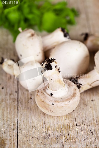 Image of  fresh champignons 
