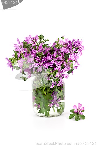 Image of wild violet flowers in glass jar 