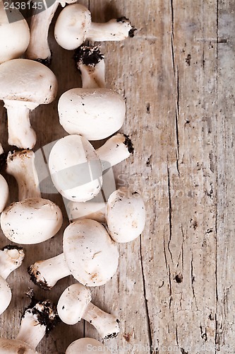 Image of  fresh champignons 