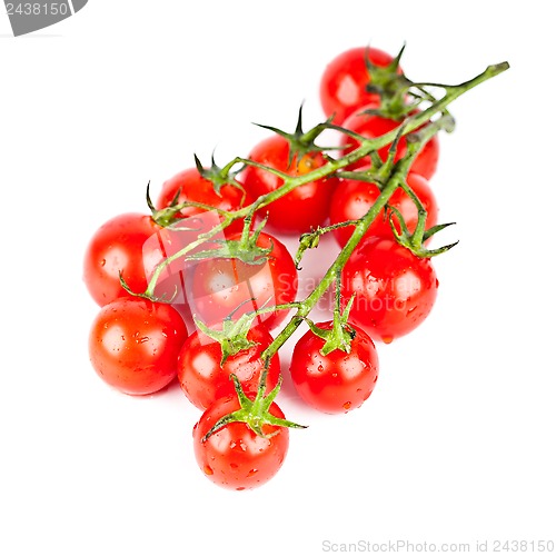 Image of fresh organic cherry tomatoes 