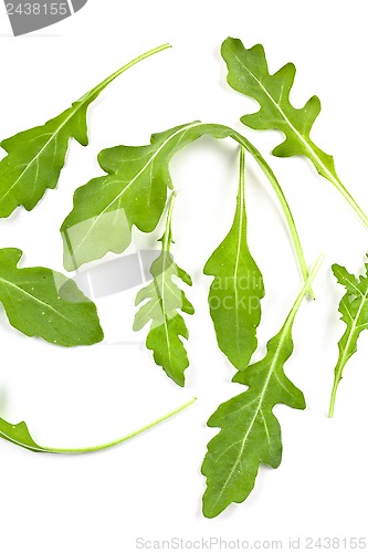 Image of fresh rucola leaves