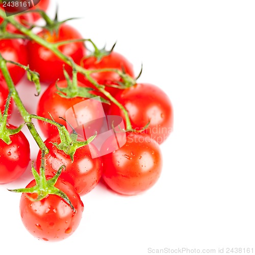 Image of fresh cherry tomatoes