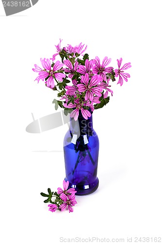 Image of wild violet flowers in blue bottle 