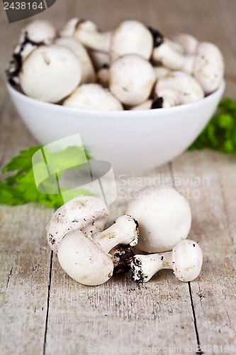 Image of  fresh champignons with parsley in a bowl