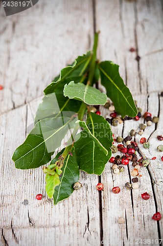 Image of fresh laurel and peppercorns