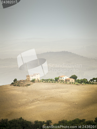 Image of Tuscany Landscape